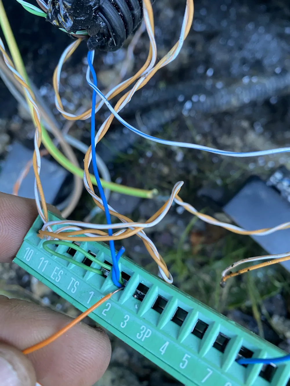 Maintenance
