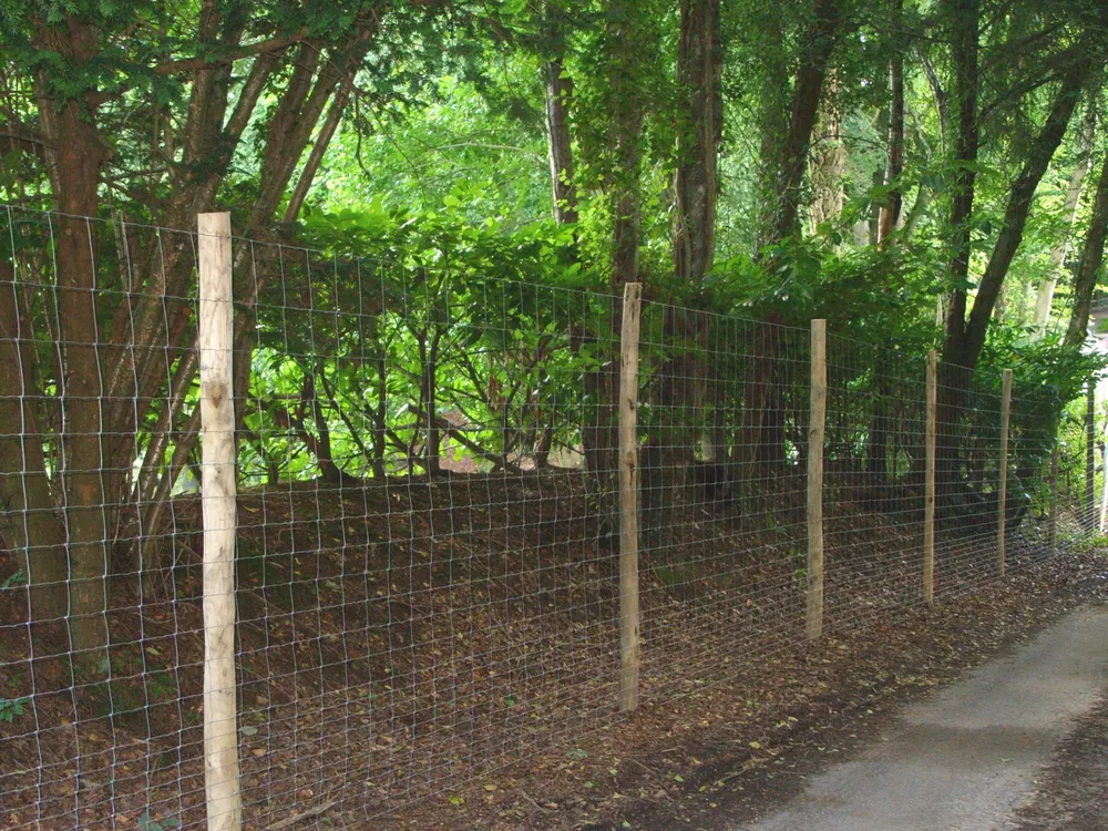 Fencing