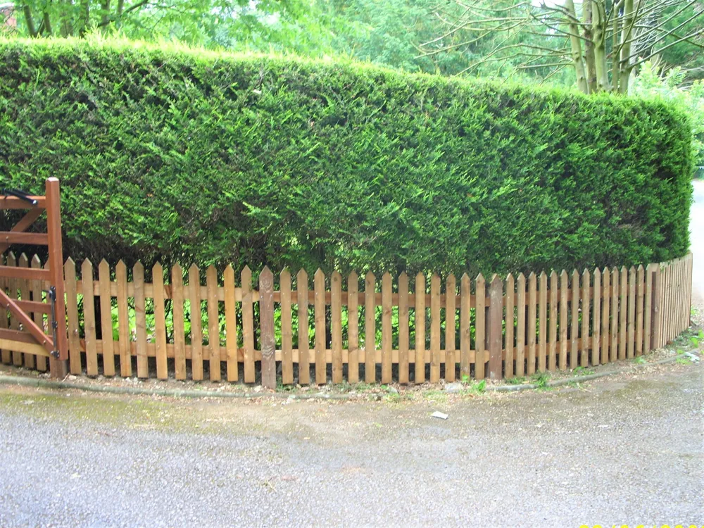 Fencing