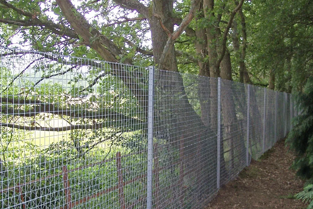 Fencing